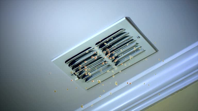 Best Commercial Air Duct Cleaning  in Merlin, OR